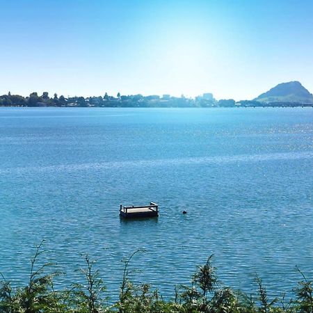Apartment Near The Water Tauranga Buitenkant foto